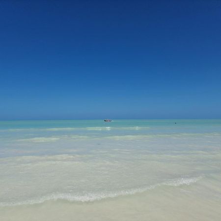 Luna Y Sol Glamping Holbox 외부 사진